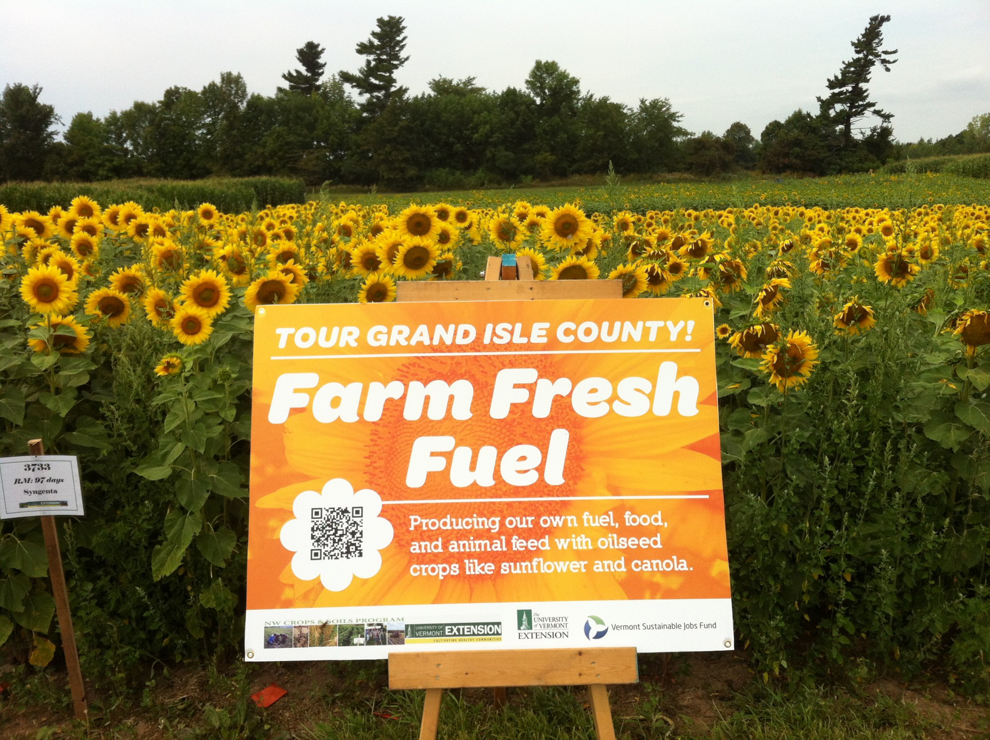 Farm Fresh Fuel Project: Growing Our Own Biodiesel