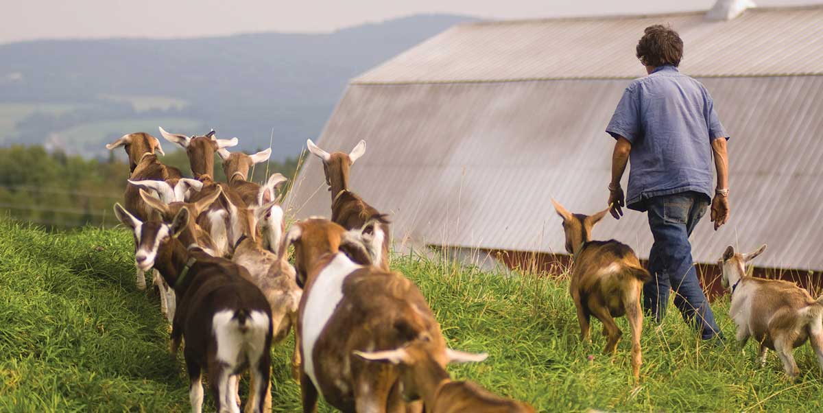 Vermont Farm to Plate Network Local Food
