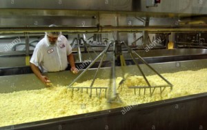 Vermont Sustainable Jobs - business assistance services