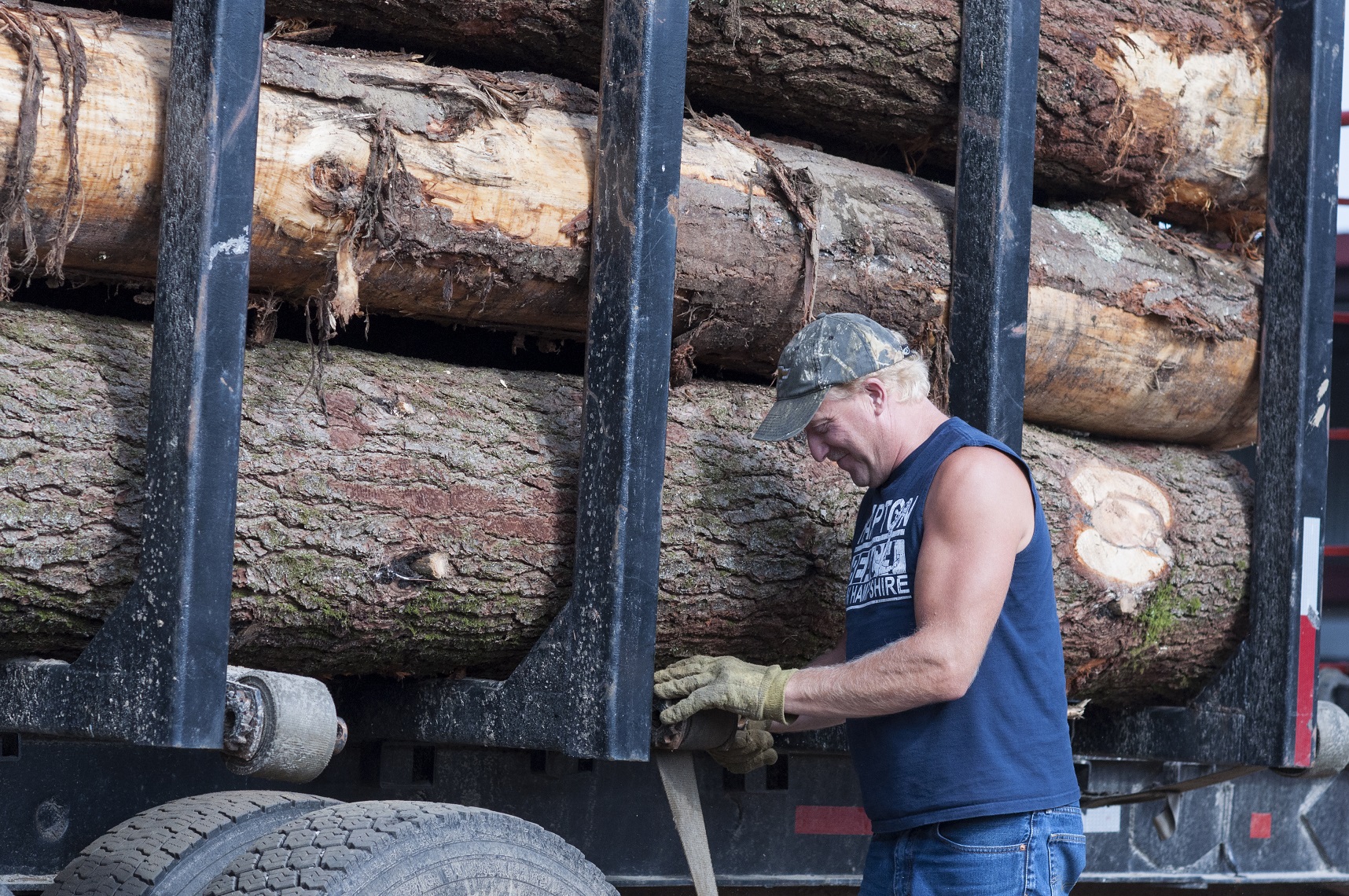 Vermont’s Forest Products Industry: In Transition and Hopeful for the Future