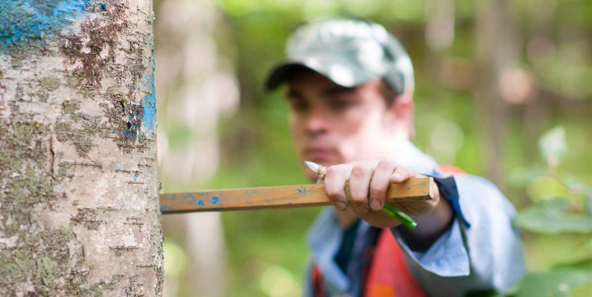 Vermont Forestry Sustainable Harvest Products