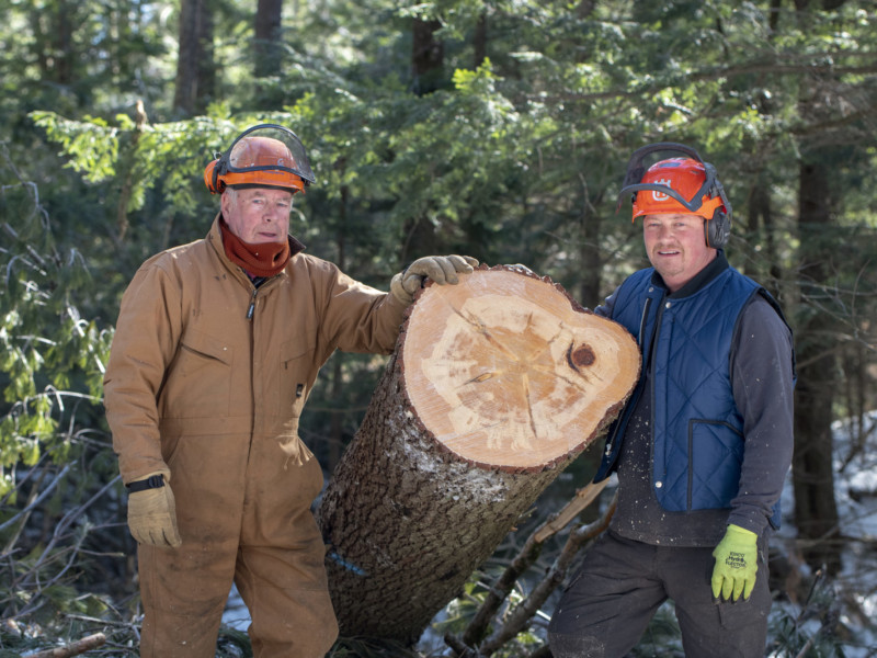 George Wilcox and his son Dave Wilcox stand next to the log of a white pine tree that was cut in February on their West Berlin property.