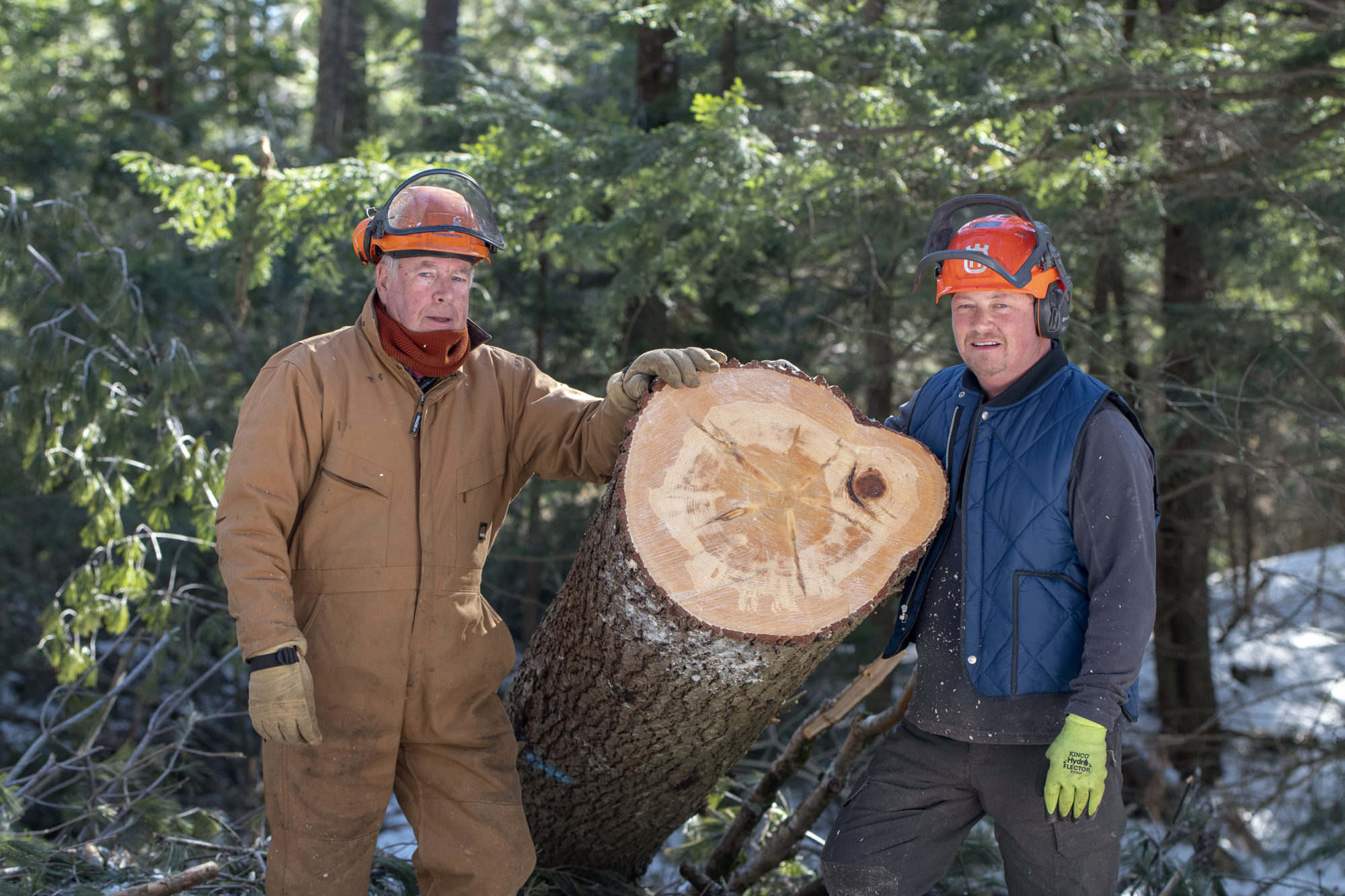 George Wilcox and his son Dave Wilcox stand next to the log of a white pine tree that was cut in February on their West Berlin property.