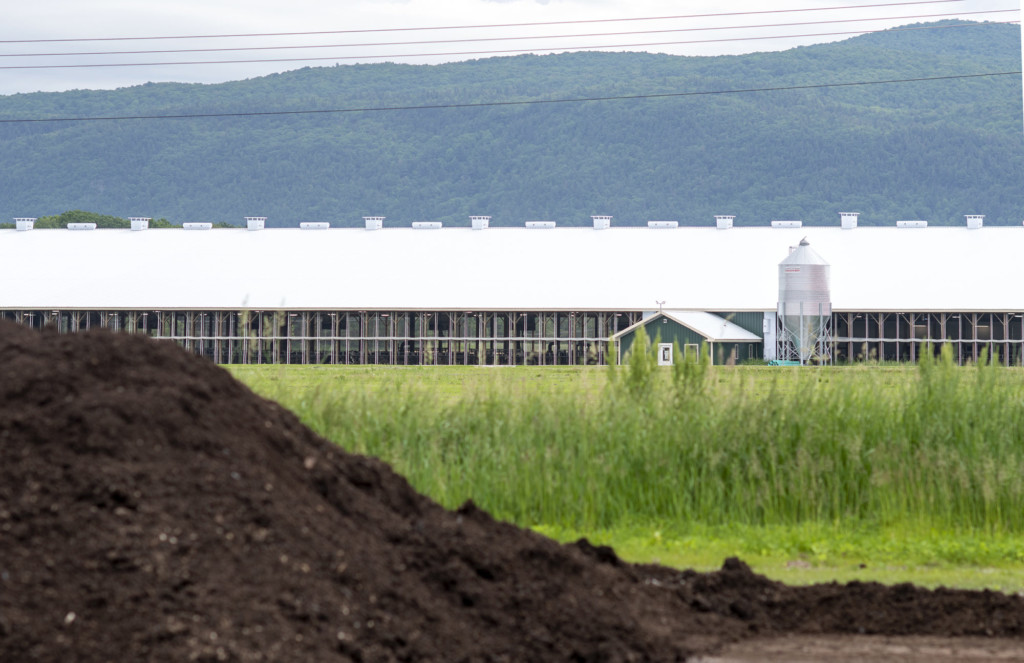 Foster Brothers Farm in Middlebury.