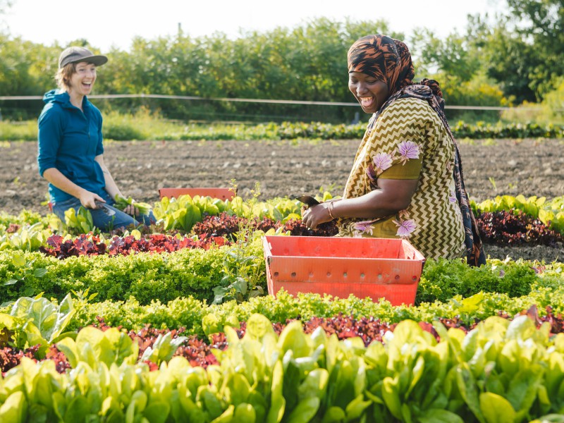 What does the future of farming and food in Vermont look like? What does the future of farming and food in Vermont look like?
