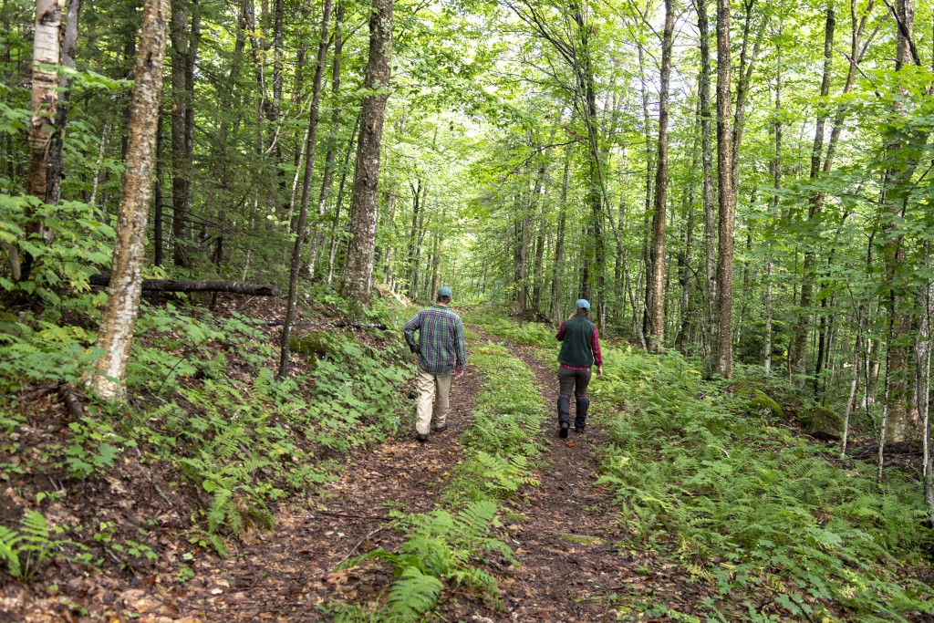 Foresters Emily Meacham and Scott-Machinist walking in Willoughby State Forest pre-COVID-19. Photo by Erica Houskeeper.