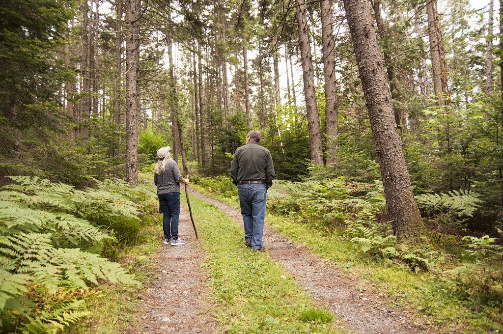 Taking a walk through a Vermont forest. Photo by Erica Houskeeper.