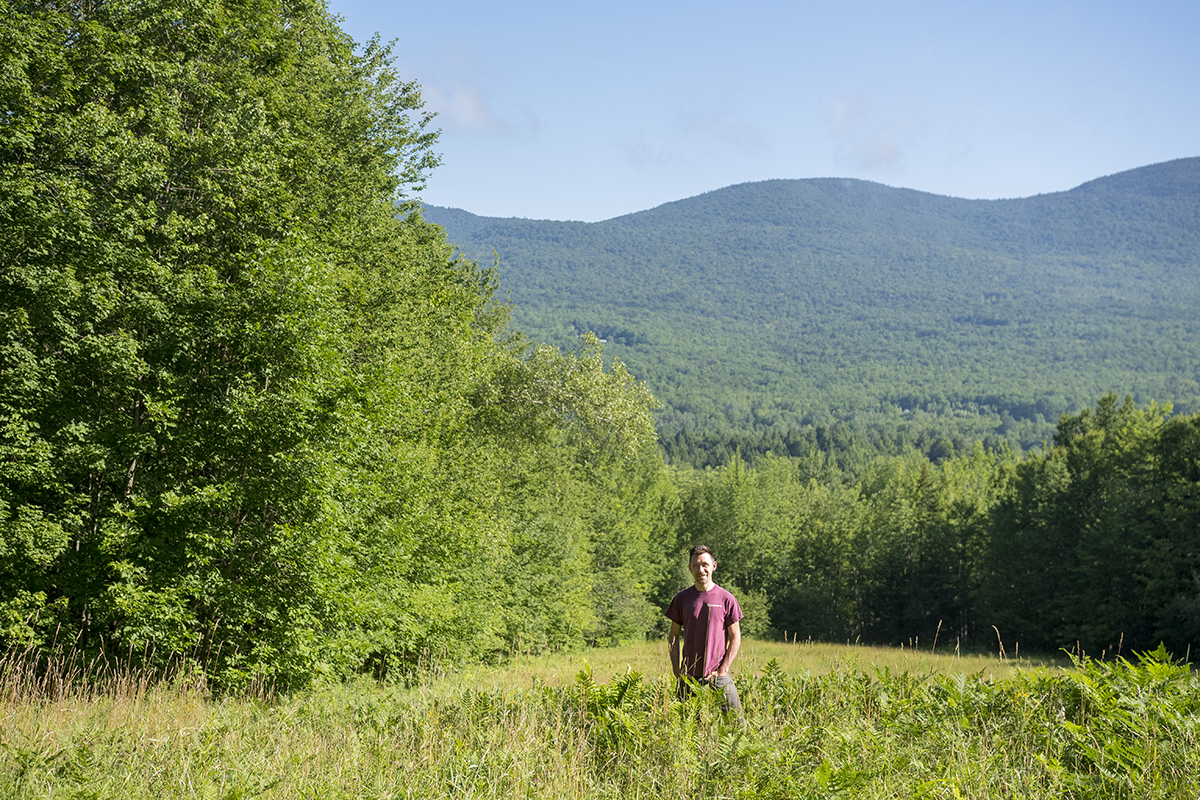 Can Vermont’s Forests Help Save the Planet?