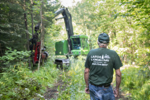 Brian Lafoe Logging Duxbury Vermont