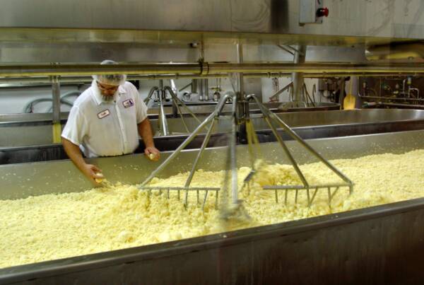 Cabot Cheese Manufacturing Center Cabot Vermont