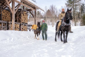 Rugged Ridge Maple using horse and mule power