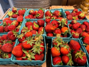 Local Vermont Strawberries at The Roots Farm Market in Middlesex, Vermont.