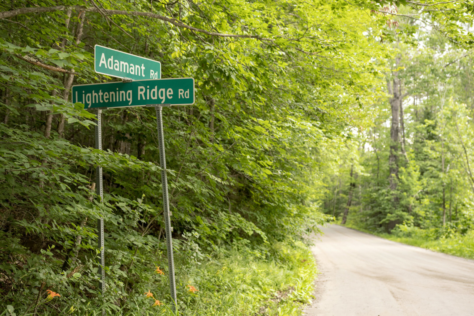 Vermont Tree Wardens A Voice for the Forest Vermont Sustainable Jobs
