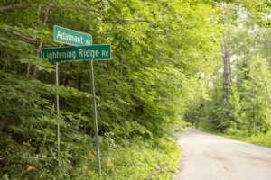 Calais Tree Warden Neal Maker is working with the town to plan for the preservation of a row of maples along Adamant Road. Photo courtesy of Erica Houskeeper.