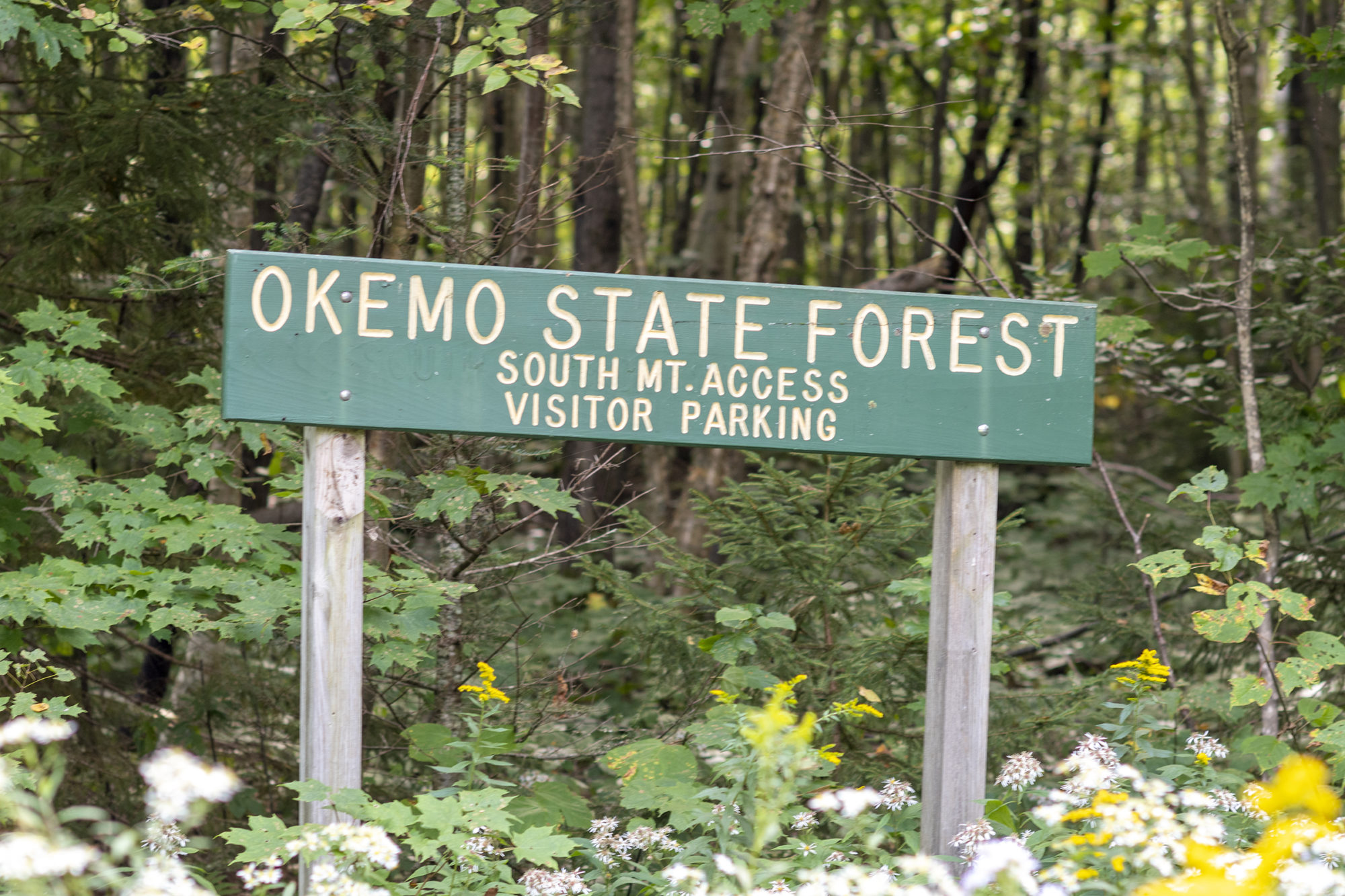 After the Vermont Department of Forests, Parks and Recreation received $1.5 million in COVID relief funding, there was an opportunity to fix an old access road in Okemo State Forest and expand recreational opportunities. Photo by Erica Houskeeper.