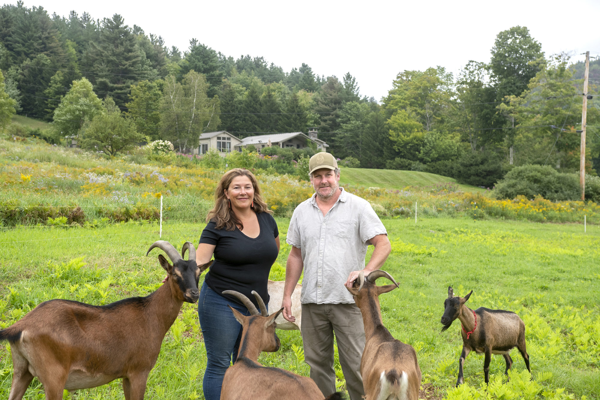 Rebecca and Joe Pimentel with their Alpine Nubian goats at their home in Stockbridge. Photo by Erica Houskeeper.