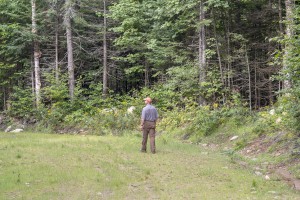 Tim Morton walks through Okemo State Forest, an 8,000-acre parcel that includes Okemo Mountain Resort, extensive snowmobile trails, and the 798-acre Terrible Mountain Natural Area. Photo by Erica Houskeeper.