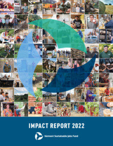 2022 VSJF Impact Report