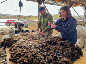 Ben Nottermann of Snug Valley Farm and Katie Sullivan of Bobolink Yarns skirt wool that will be turned into yarn.