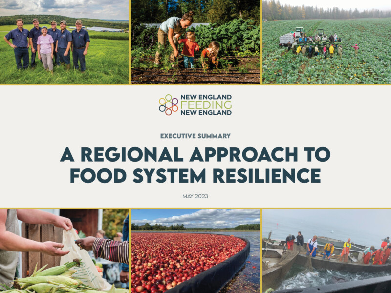 A Regional Approach to Food System Resilience - NEFNE Report