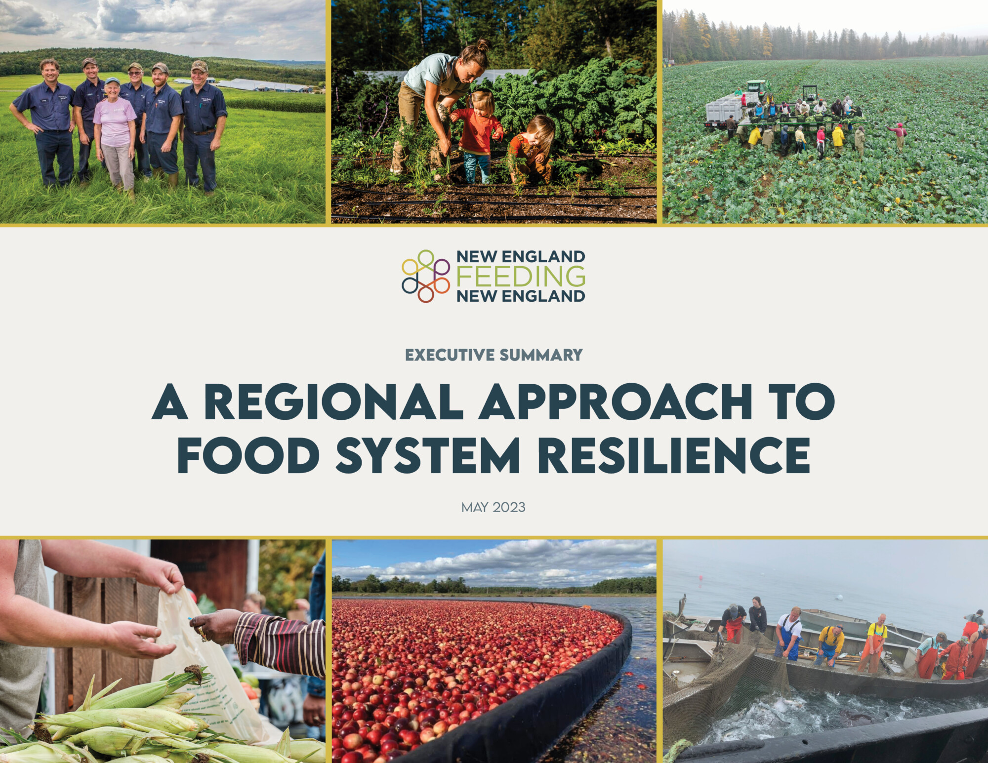 A Regional Approach to Food System Resilience - NEFNE Report