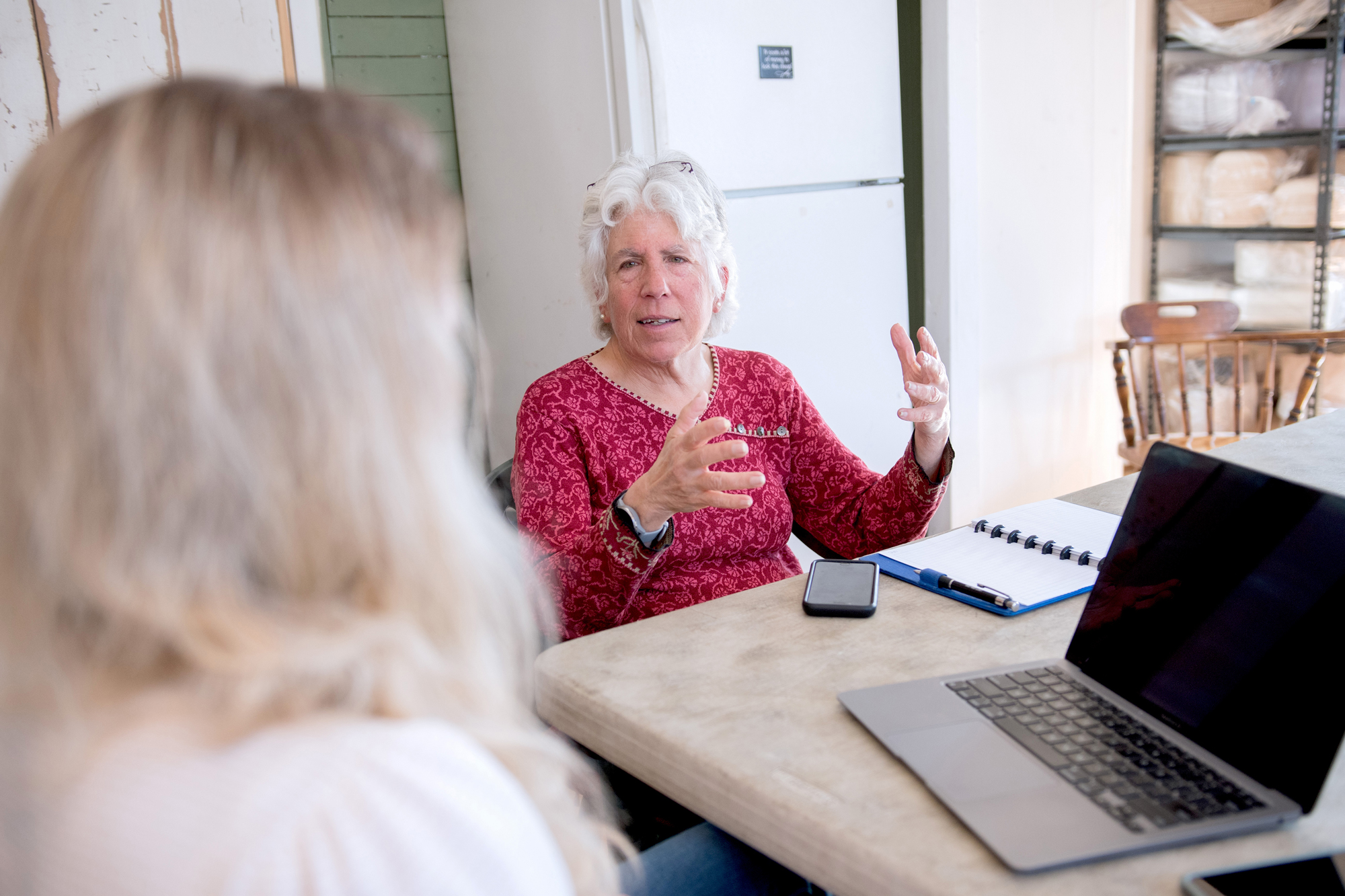 Business coach Jean Kissner advises Karin Bellemare, owner of The Roots Farm Market. Photo by Erica Houskeeper.