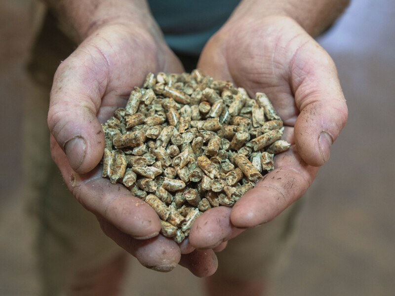 The company estimates it could produce 30,000 to 40,000 tons of pellets a year given the mill capacity and readily available low-grade wood. That’s 100 times the amount of wood pellets they are producing now. Photo by Erica Houskeeper.