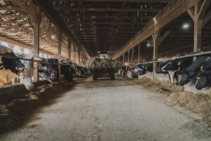 Monument Farms Dairy was founded in the 1920s and began bottling milk for local delivery in 1930. Photo by Erica Houskeeper.