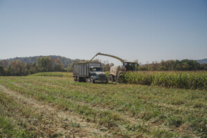Corn harvest at Monument Farms Dairy in Weybridge. Photo by Erica Houskeeper.