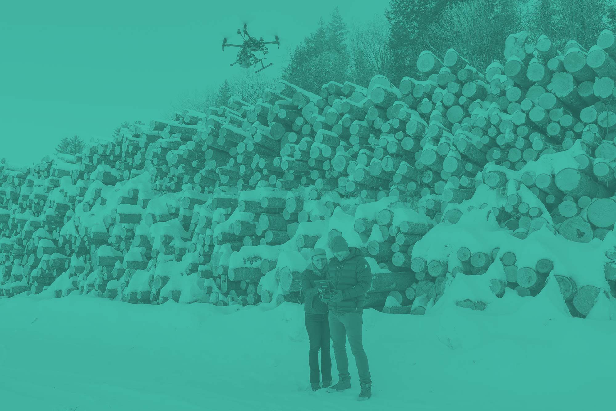 Forest Business Accelerator