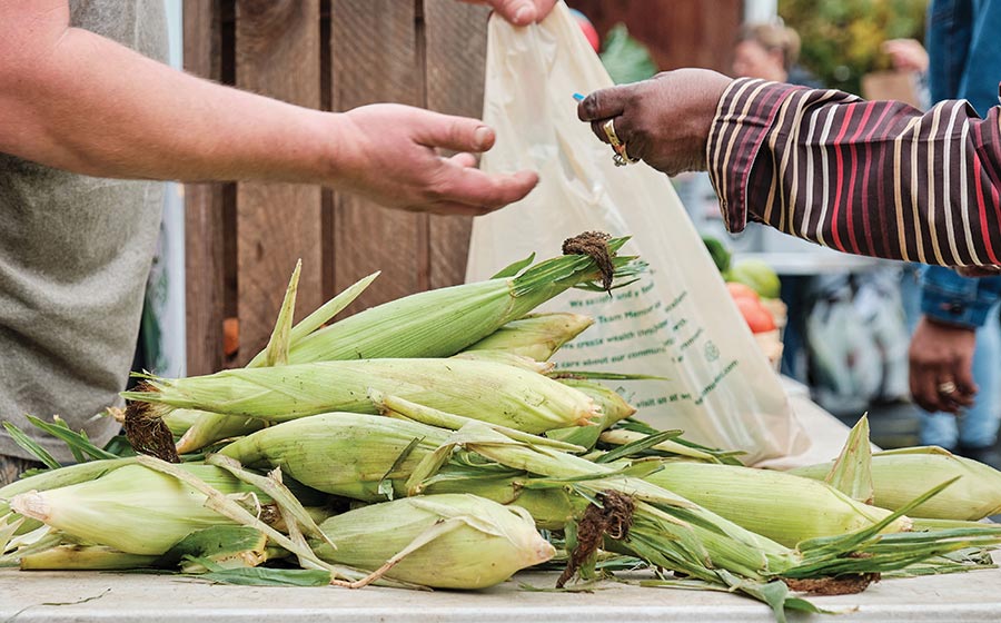 Vermont agriculture & food systems
