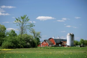 Vermont agriculture