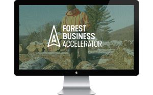 Forest Busines Accelerator webite