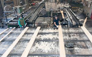 Vermont forest workforce development